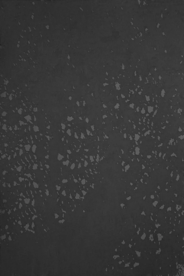  Visual Noise, charcoal on black paper, 30” x 20”, 2013 