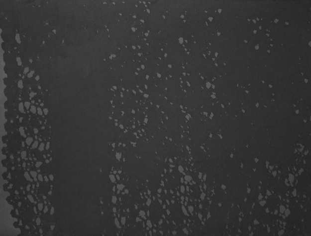 Glimmer, charcoal on black paper, 22.75” x 30”, 2013 