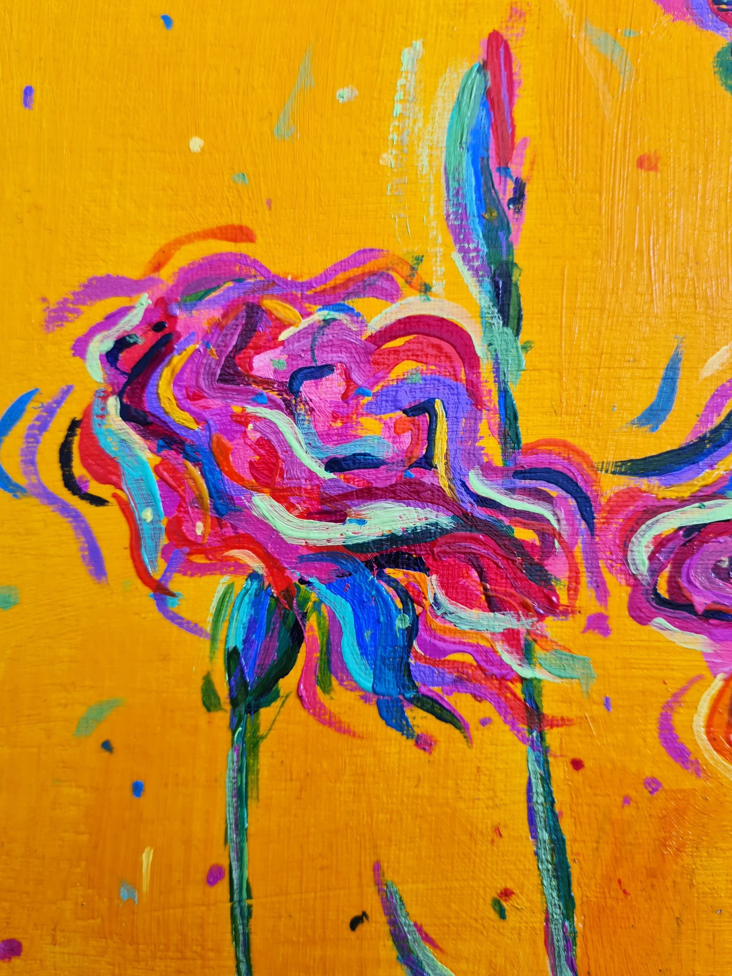 close up of a red carnation