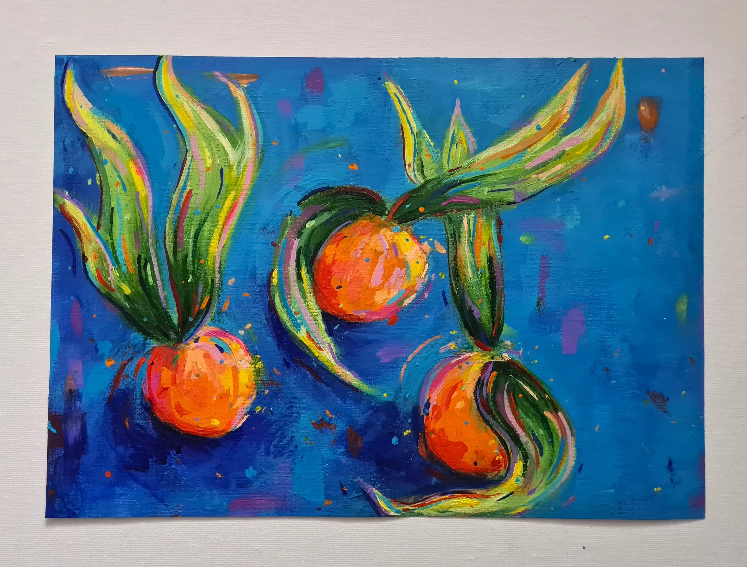 physalis fruit