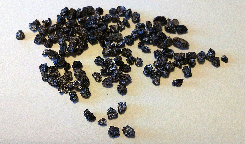 Dried cochineal. Is it a bug? A berry?
