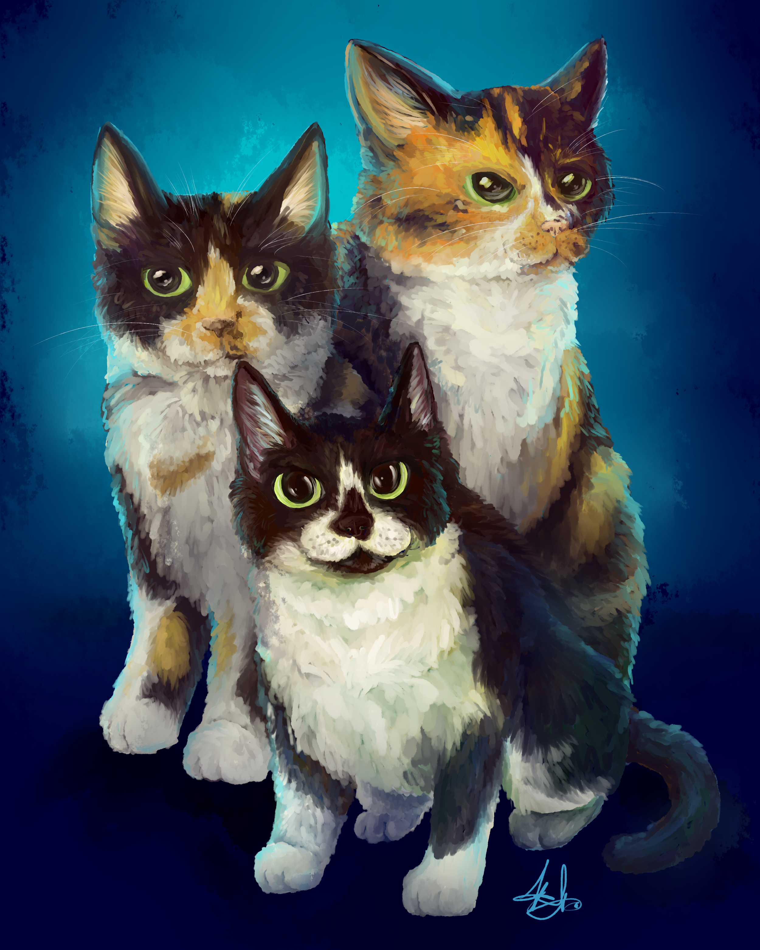 patchescats.png