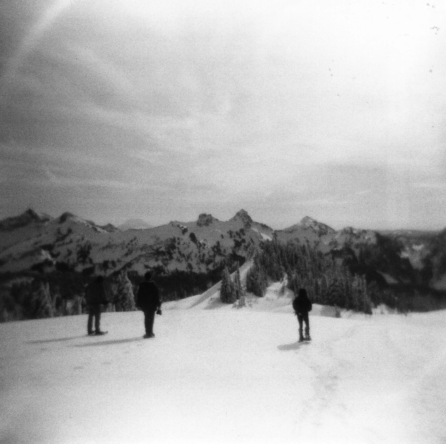 img220.jpg