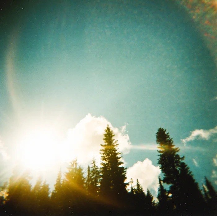 holga-102.jpg