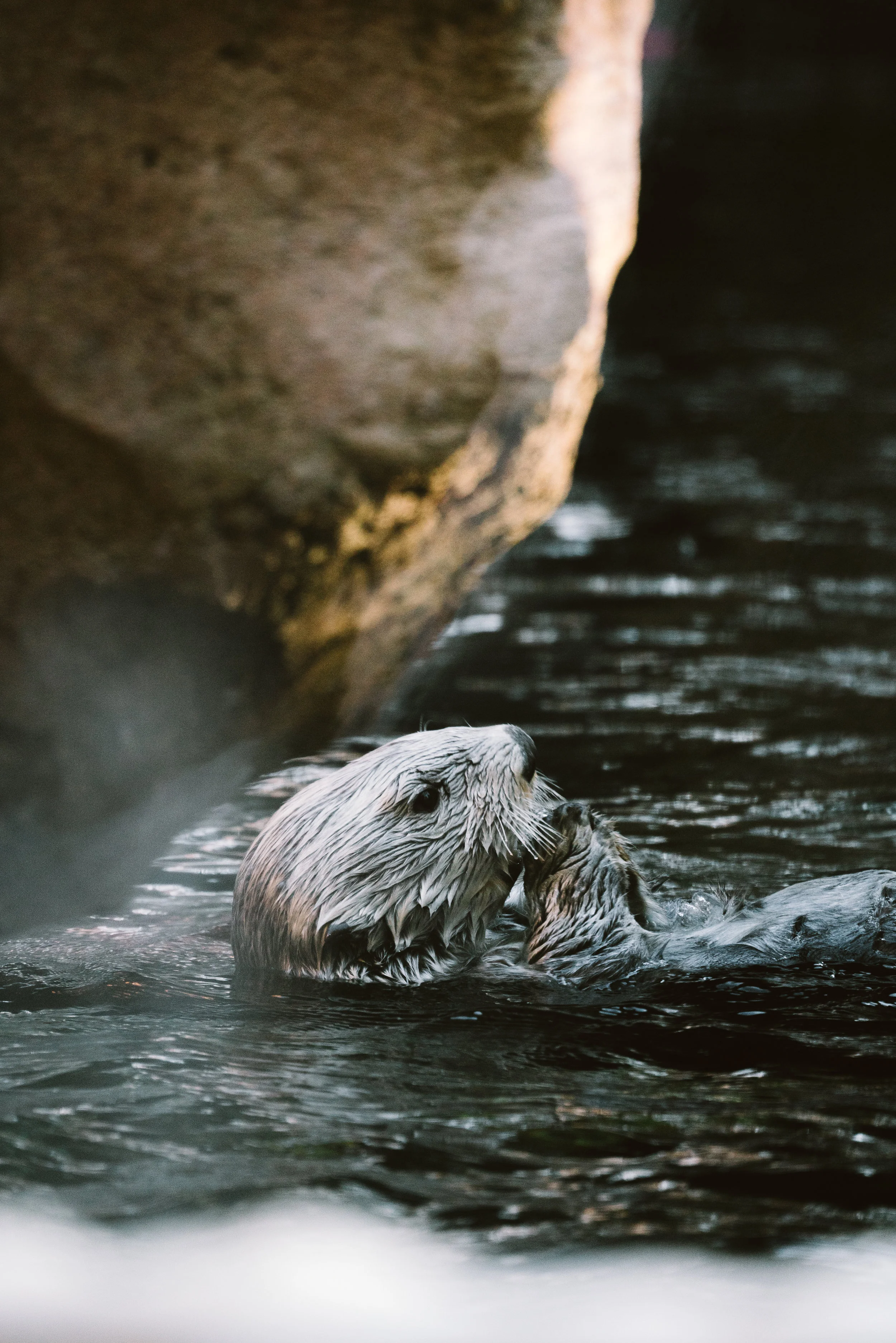 MNZoo-02152.jpg