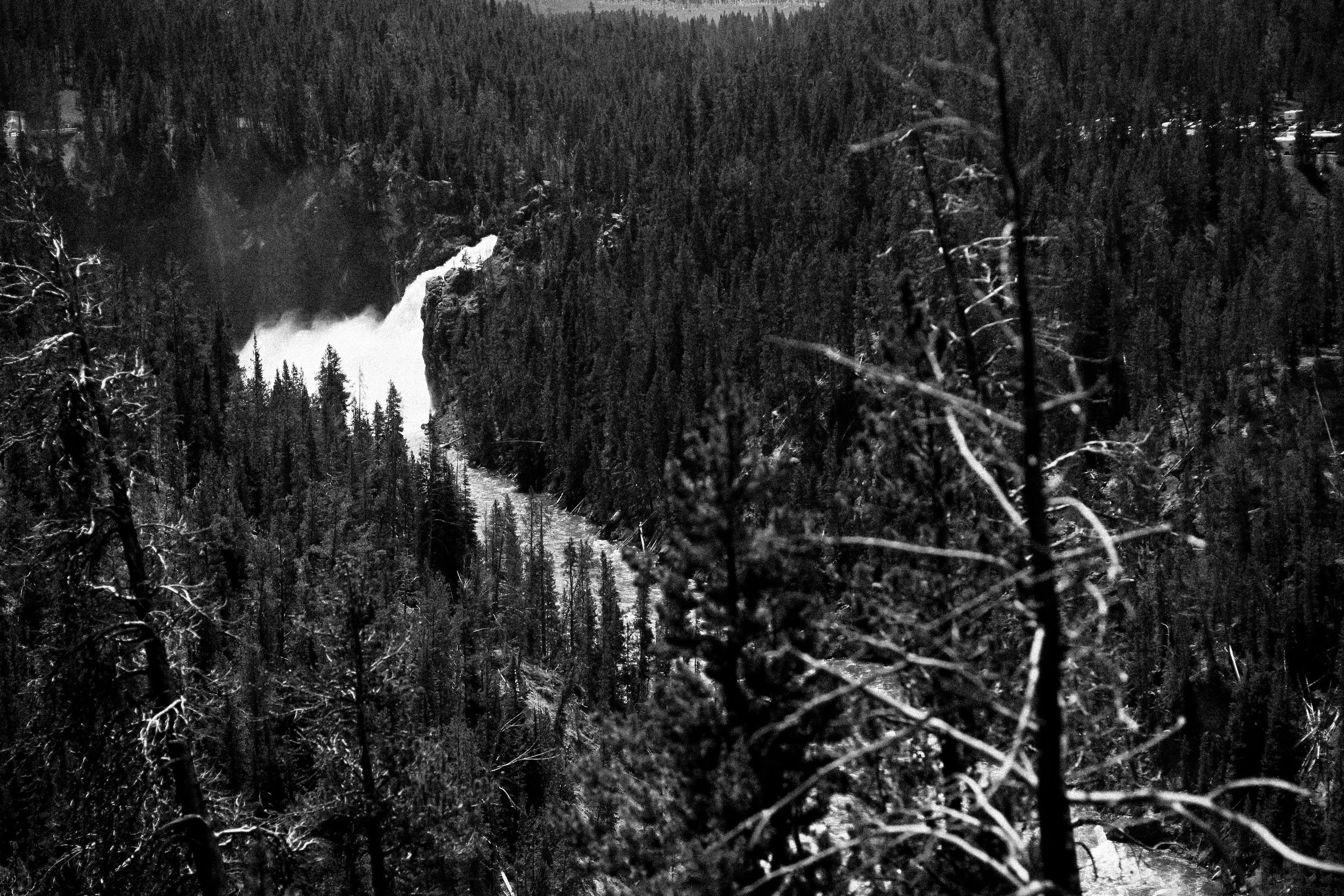Black and White Photograph of Yellowstone Falls in Yellowstone National Park