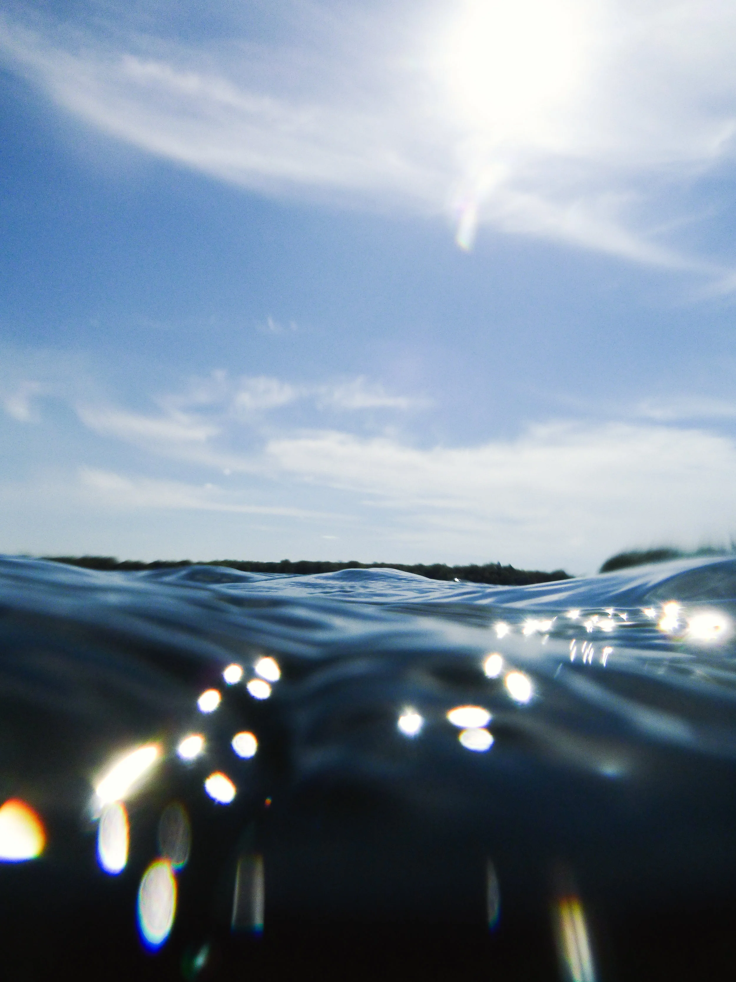 Seattle Underwater Photographer