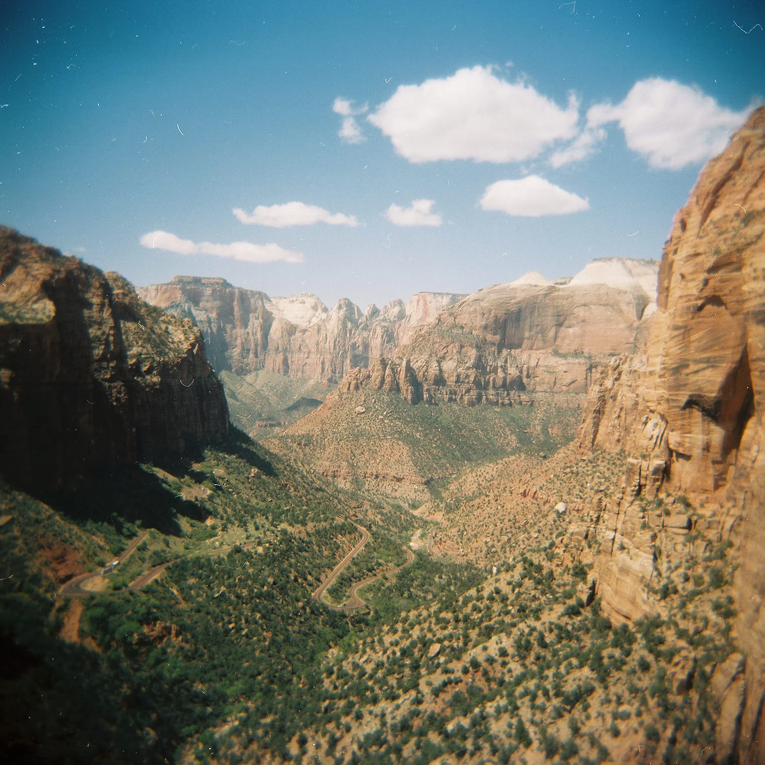 Holga Film Photograph of Zion National Park
