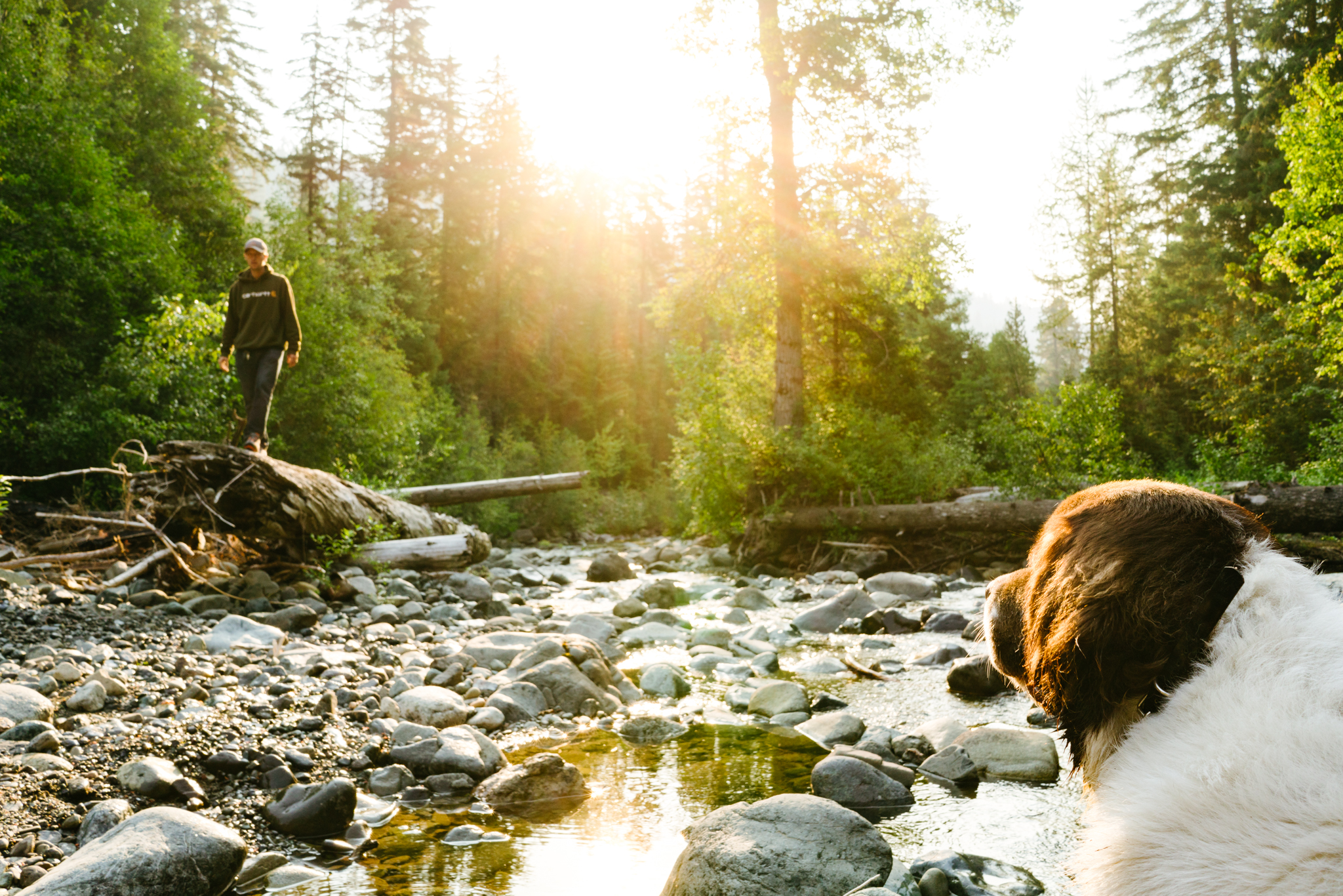 Seattle, Washington Lifestyle Adventure Photographer
