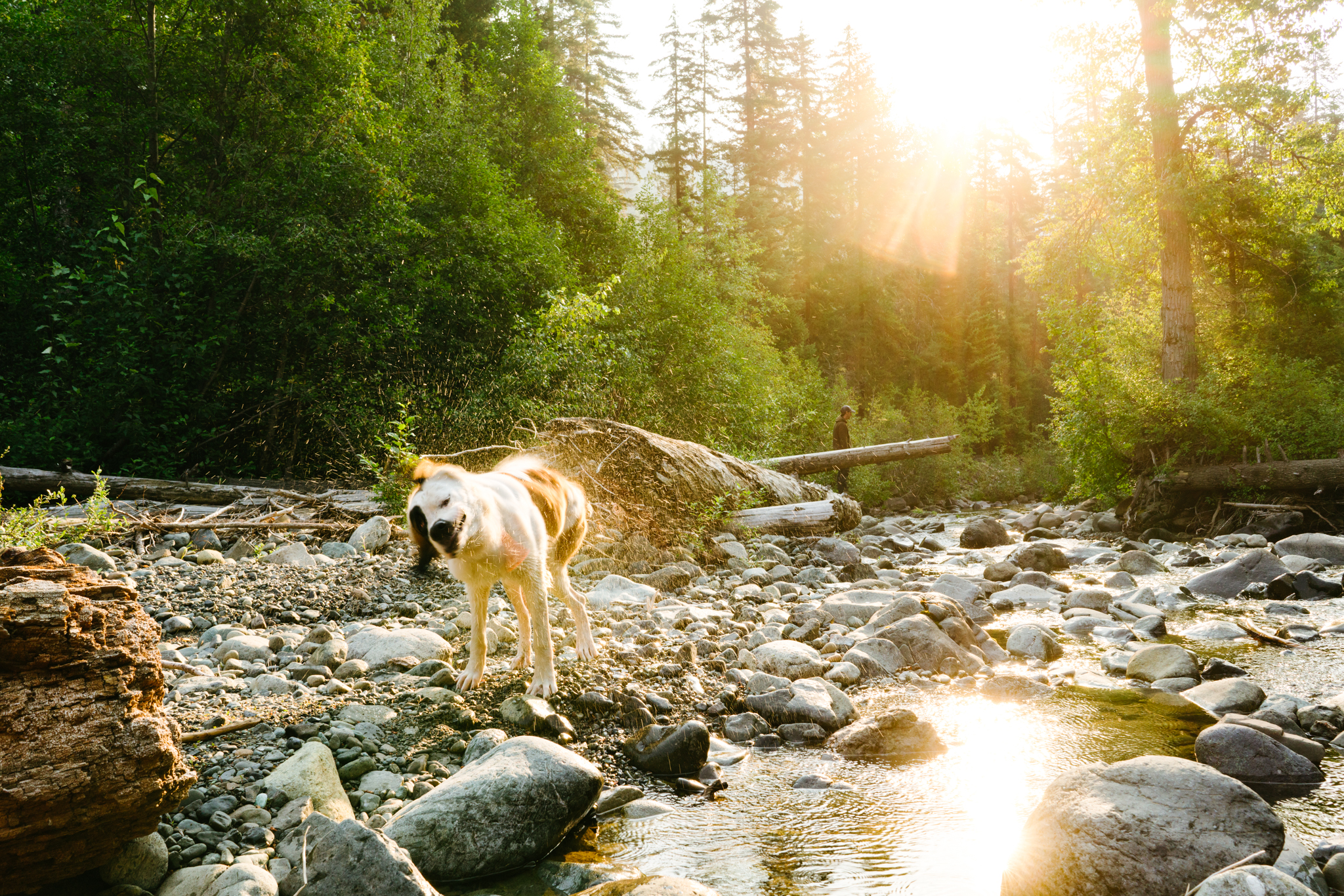 Seattle, Washington Lifestyle Adventure Photography