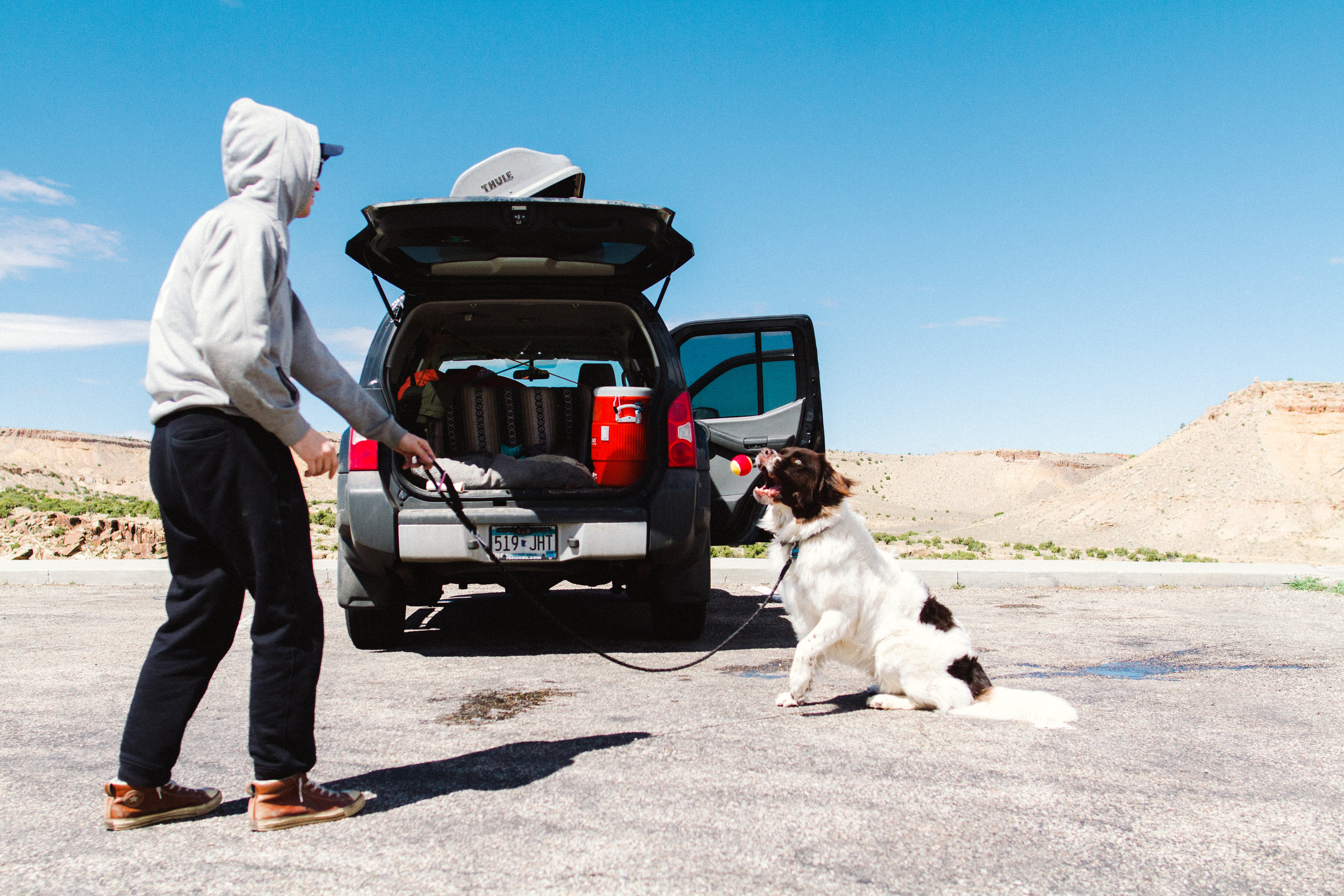 Road Trip Traveling across the country with a Newfoundland Dog by Seattle, Washington Commercial Photographer Sara Montour Lewis