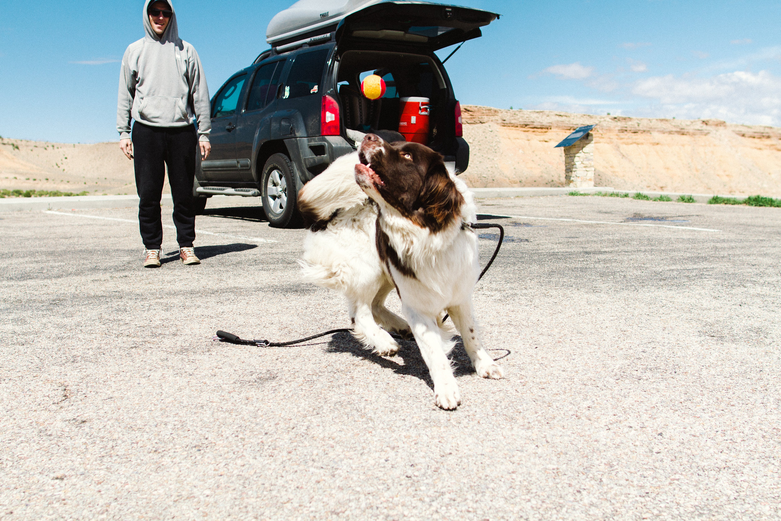 Road Trip Traveling across the country with a Newfoundland Dog by Seattle, Washington Commercial Photographer Sara Montour Lewis