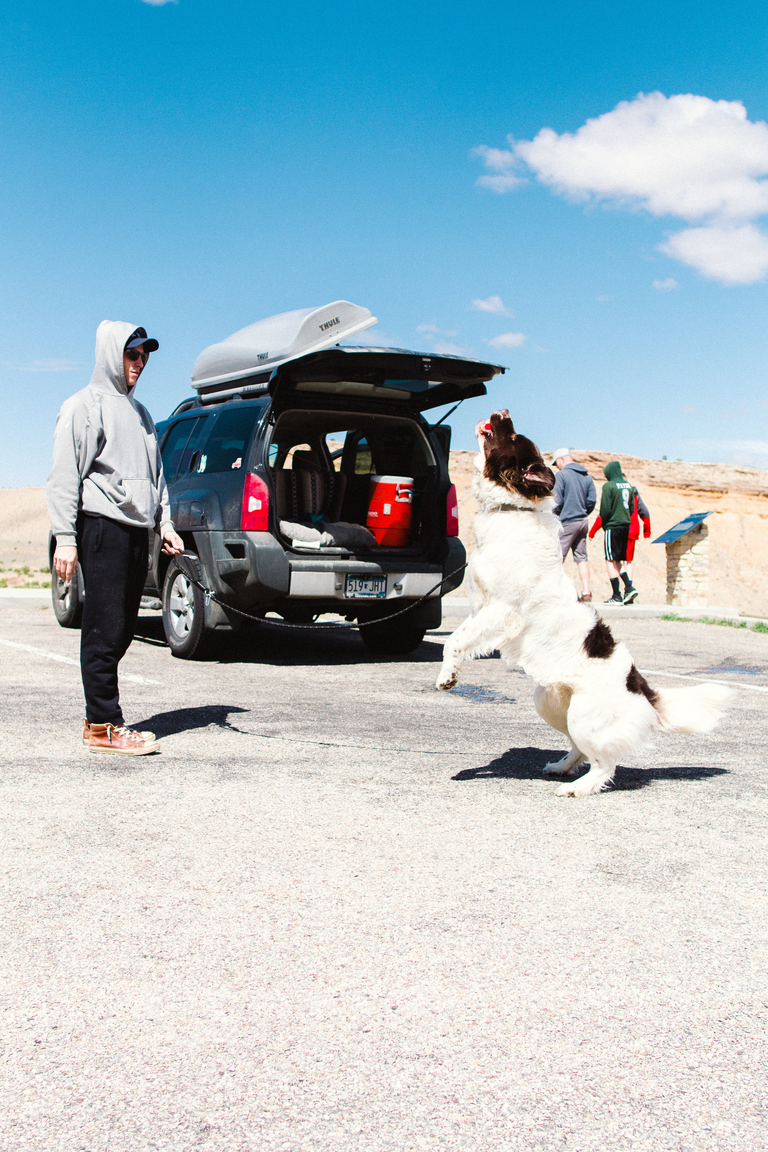 Road Trip Traveling across the country with a Newfoundland Dog by Seattle, Washington Commercial Photographer Sara Montour Lewis