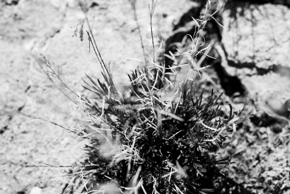 Black Dragon Canyon in Utah by Seattle Commercial Kids Adventure Photographer, Sara Montour Lewis