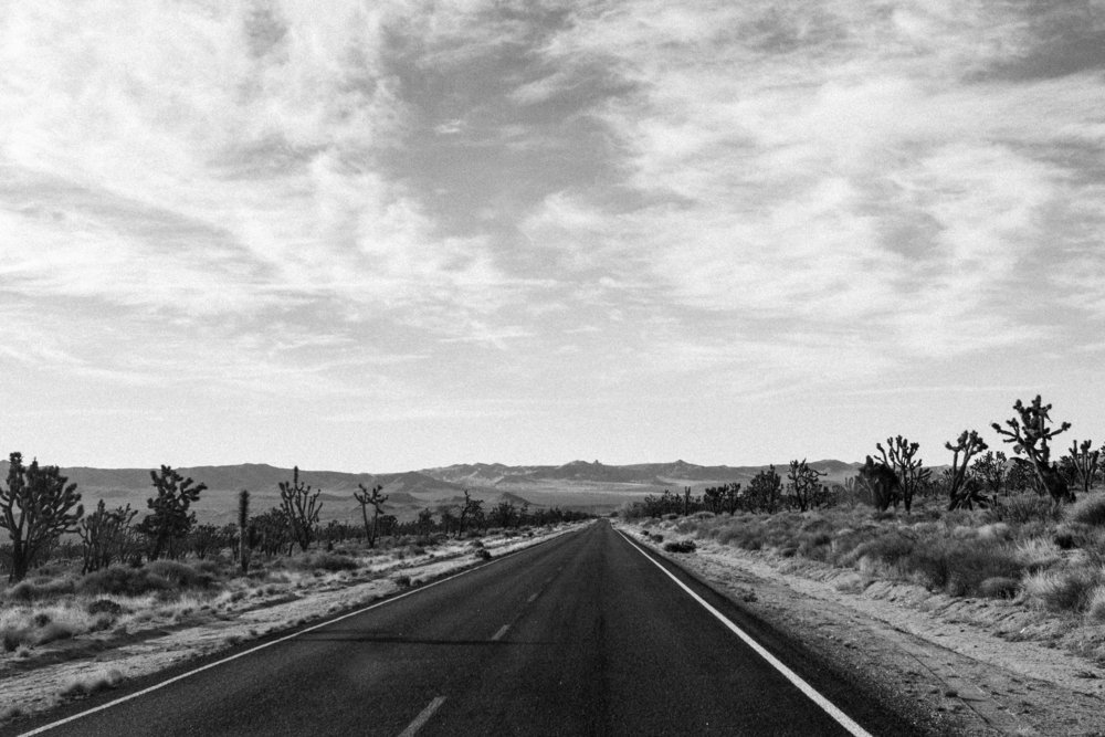 Joshua Tree California Road Trip Adventure Brand Photography