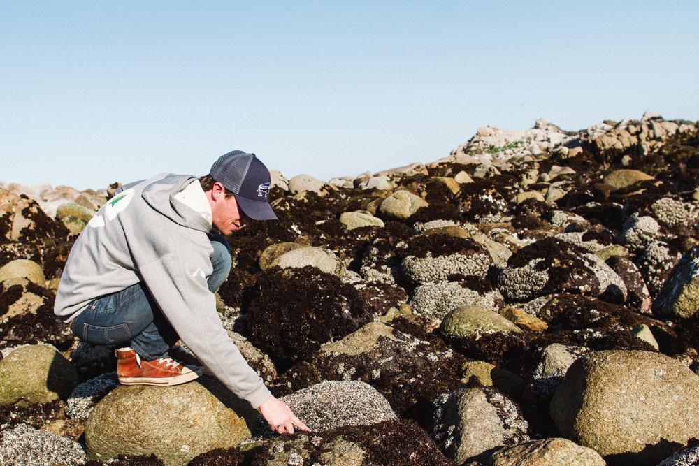 Commercial Adventure Lifestyle Photography in Monterey Bay, California