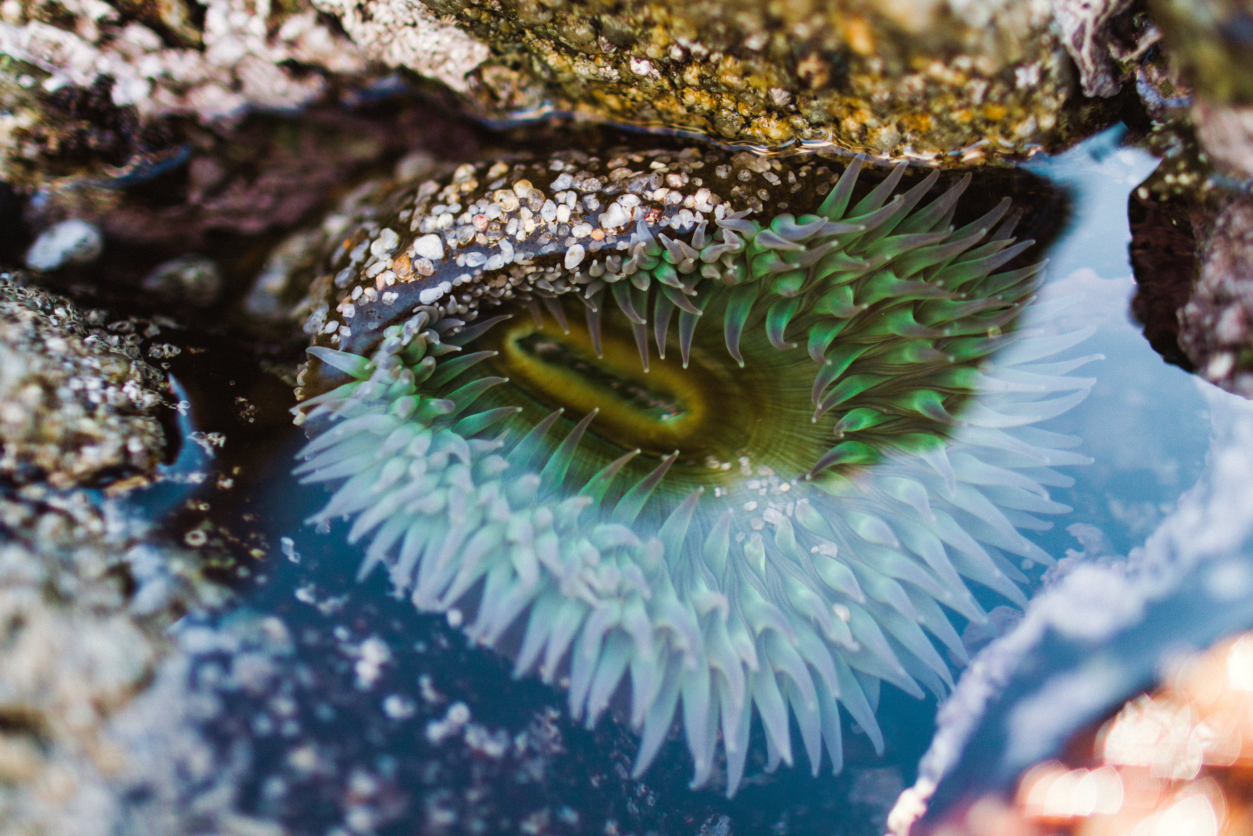 Commercial Adventure Lifestyle Photography in Monterey Bay, California