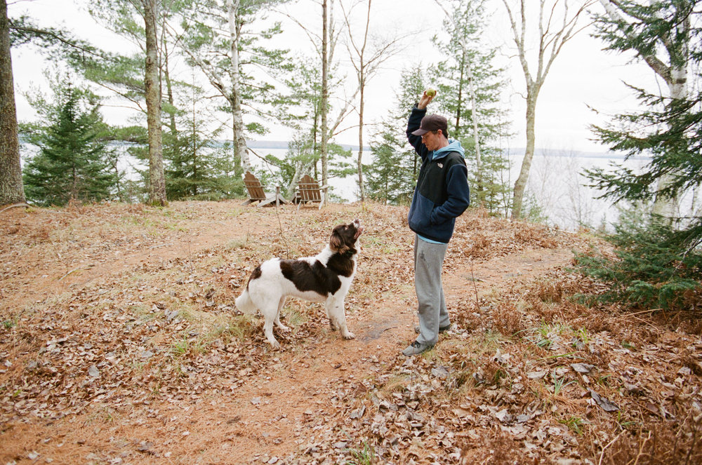 Couple Traveling Full Time With Their Adventure Dog Newfoundland