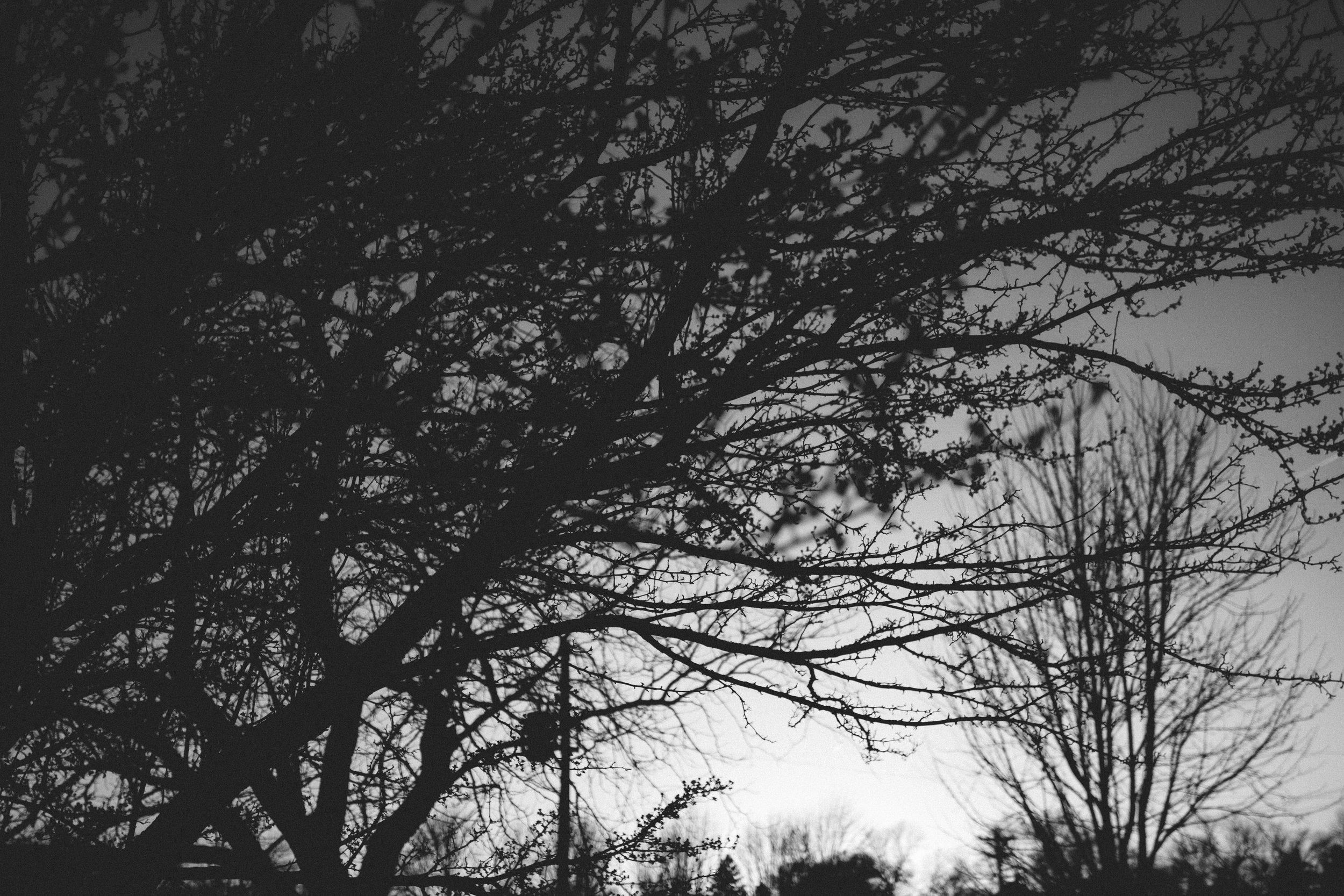 Midwest Lifestyle Commercial Adventure Photographer