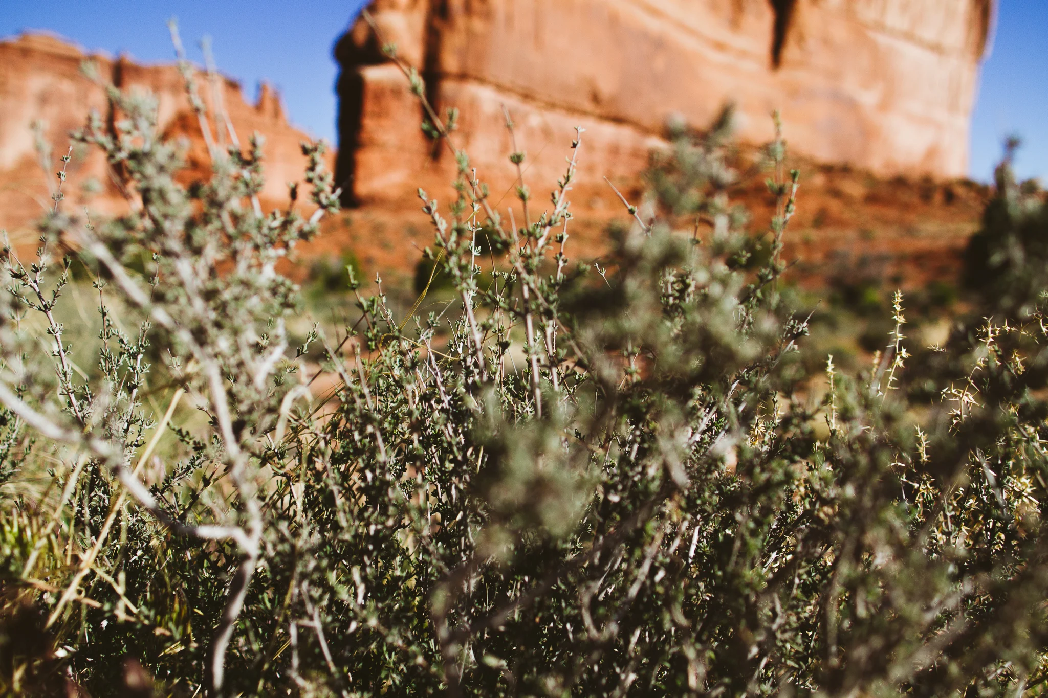 Arches National Park in Moab, Utah Adventure Road Trip Photographer