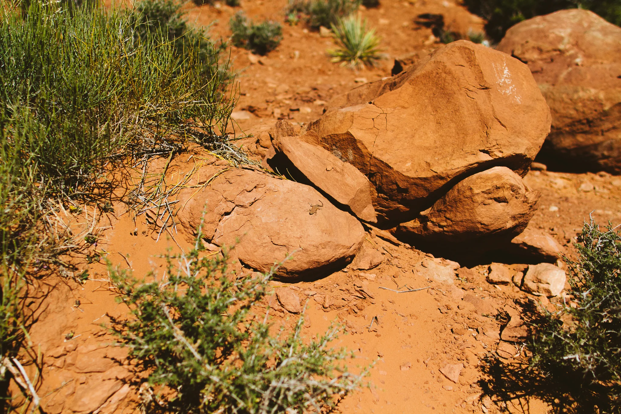 Arches National Park in Moab, Utah Adventure Road Trip Photographer