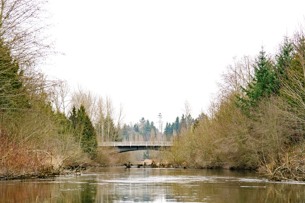 The Sammamish River from Seattle-based Conservation Photographer, Sara Montour Lewis