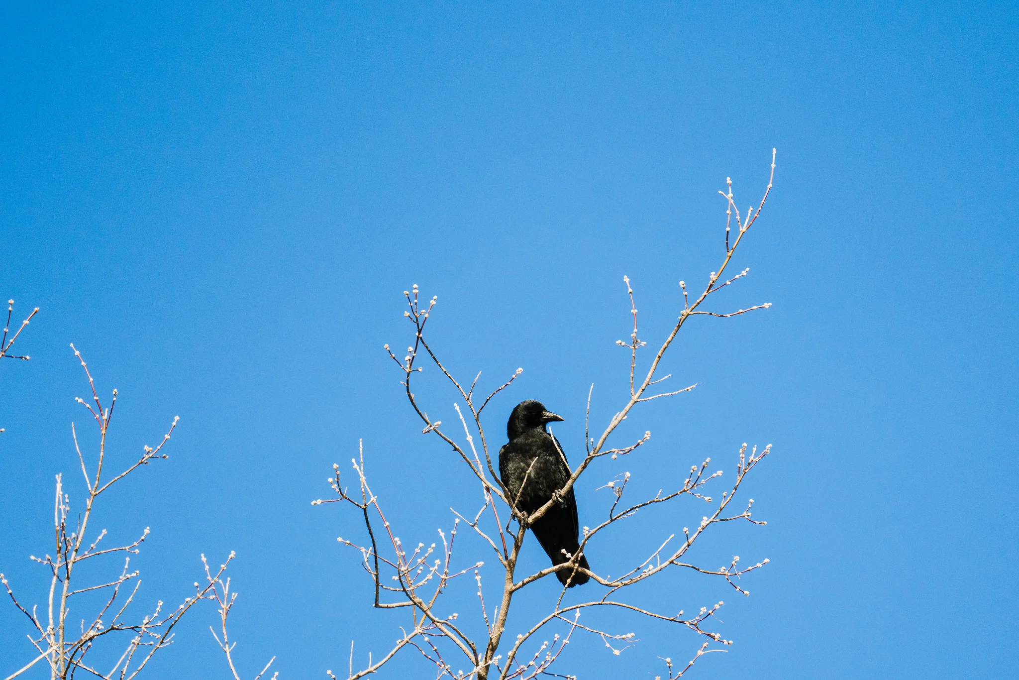Minnesota Adventure Photographer