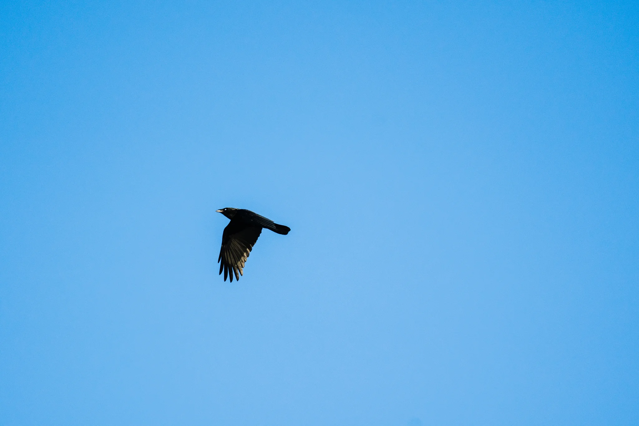 Minnesota Conservation Photographer