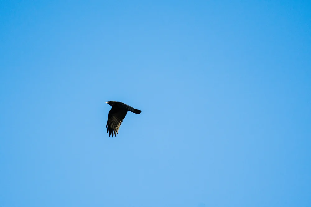 Minnesota Conservation Photographer