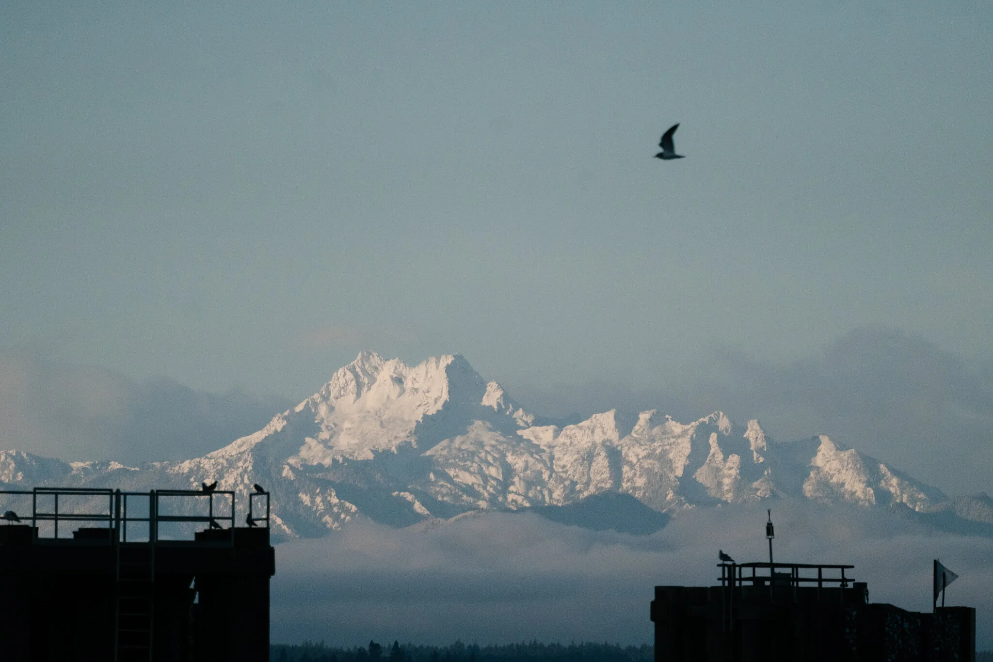 The Brothers Mountain Peaks of the Olympic Peninsula from the Edmonds Ferry Terminal