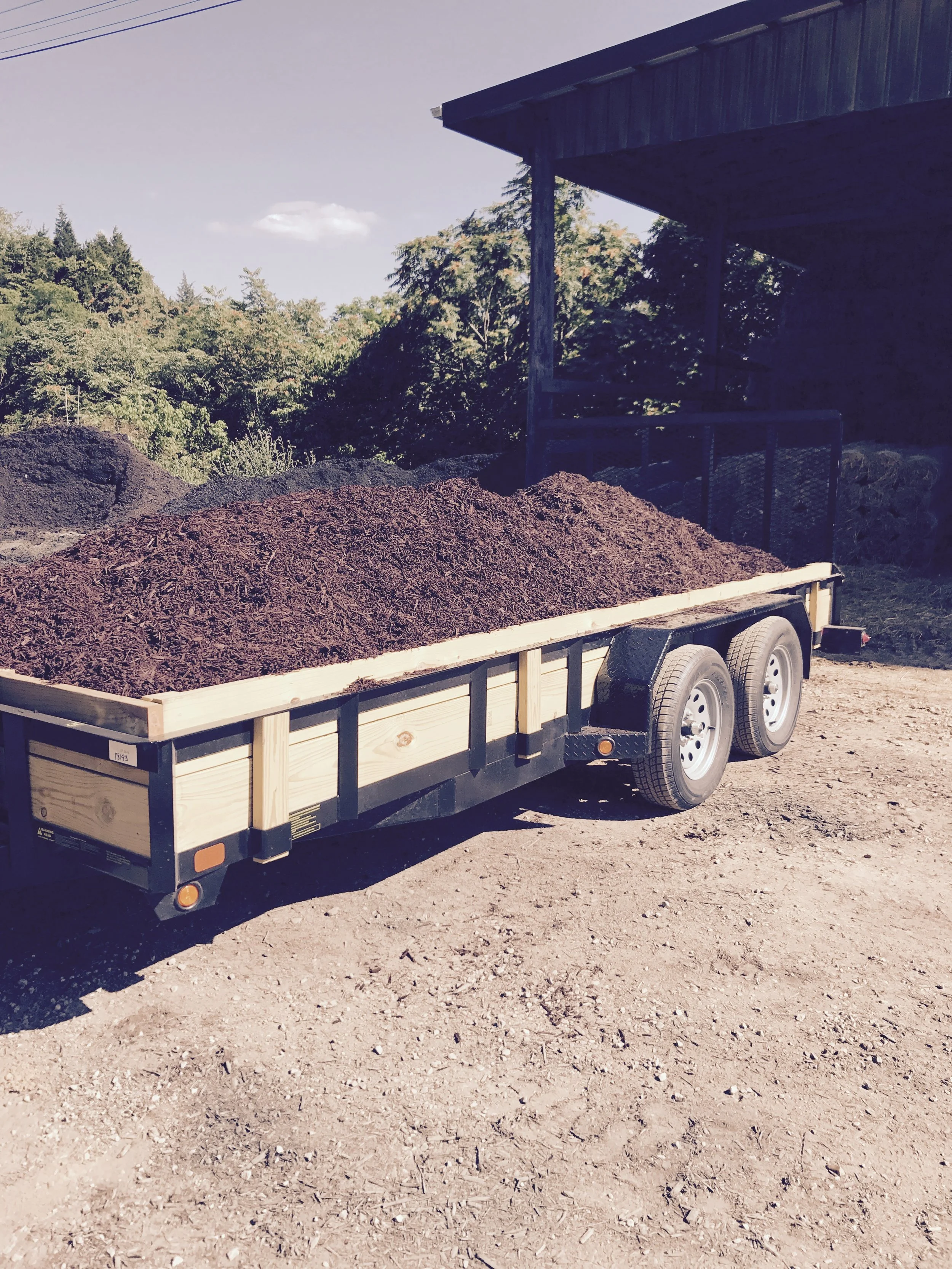 Mulch.jpg
