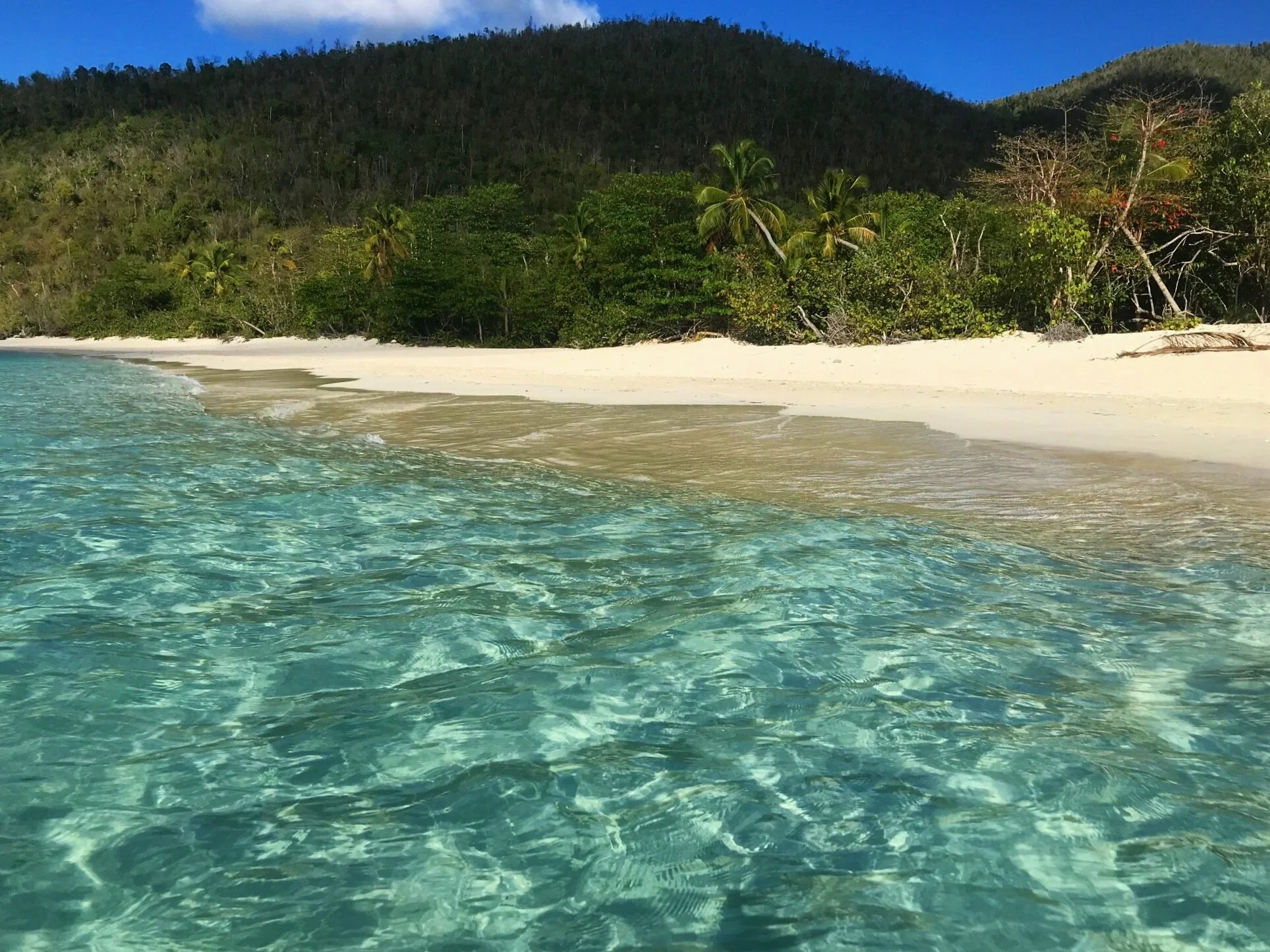 Updates for Visitors to the Virgin Islands 