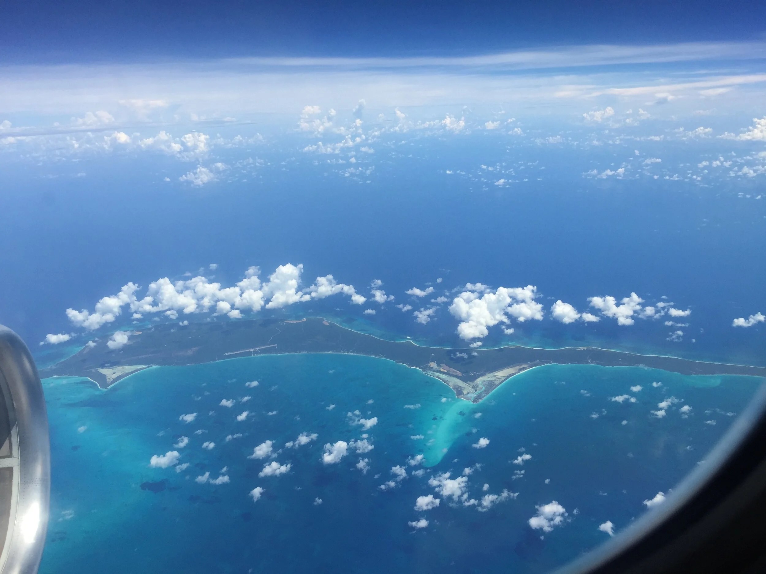 12-28-2015 photo update 1003.JPG