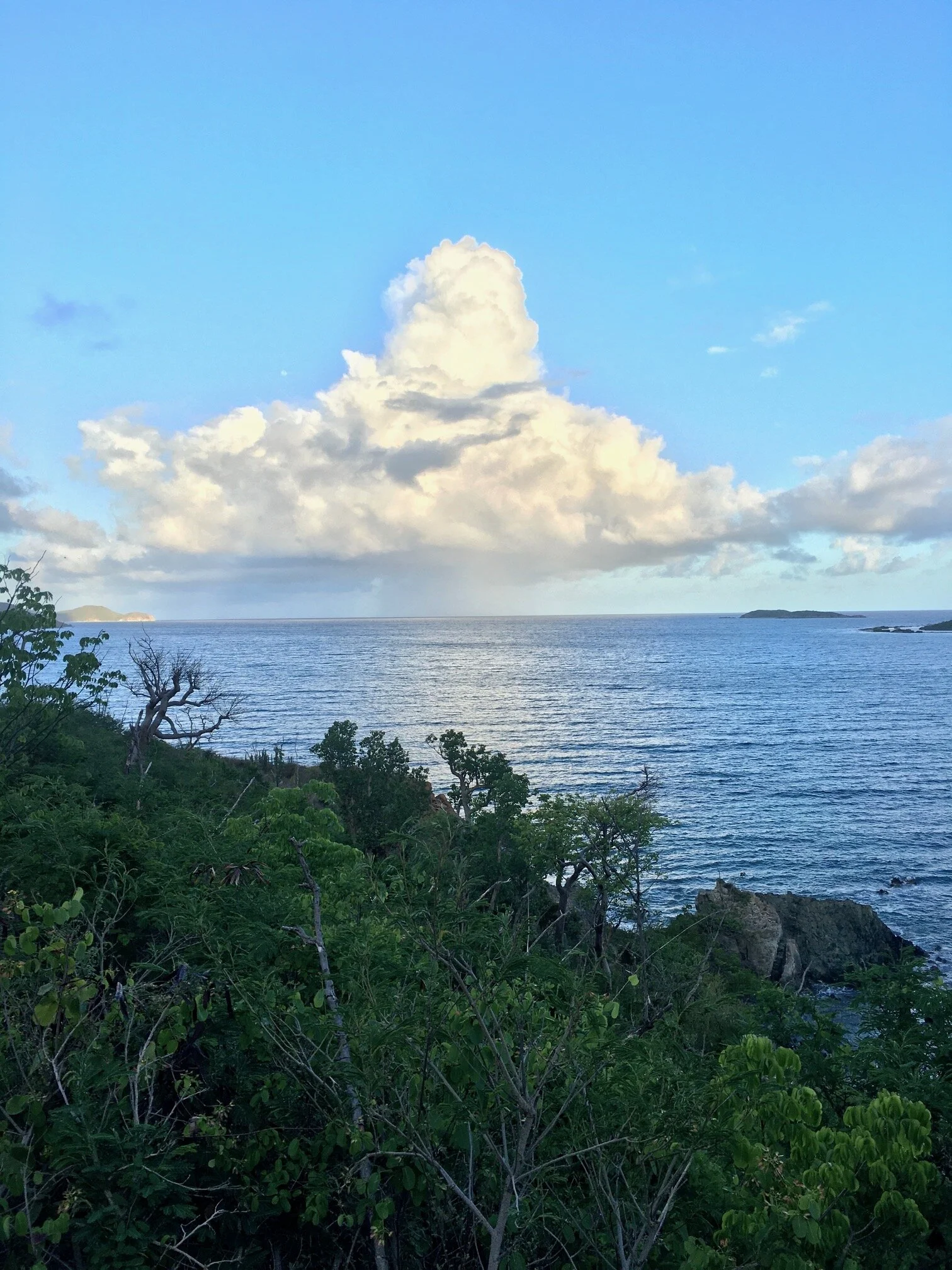 Mosquito Season on St. John