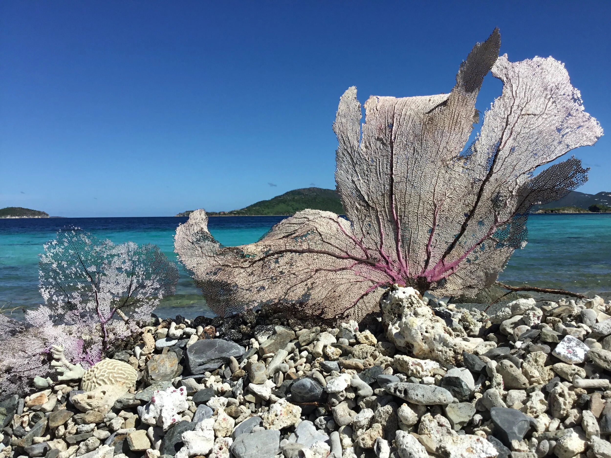 What Not To Take From St. John's Beaches