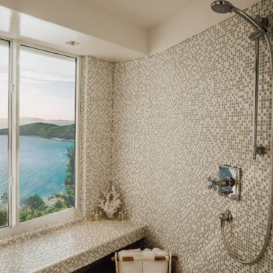 Hawksnest-villa_Bathroom-shower-with-view-385x385.jpg