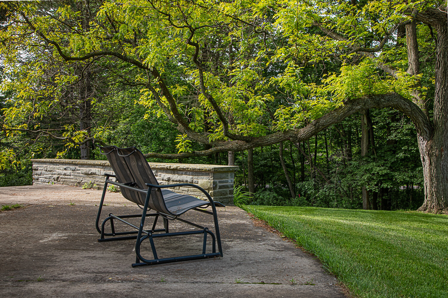House patio bench with tree.jpg