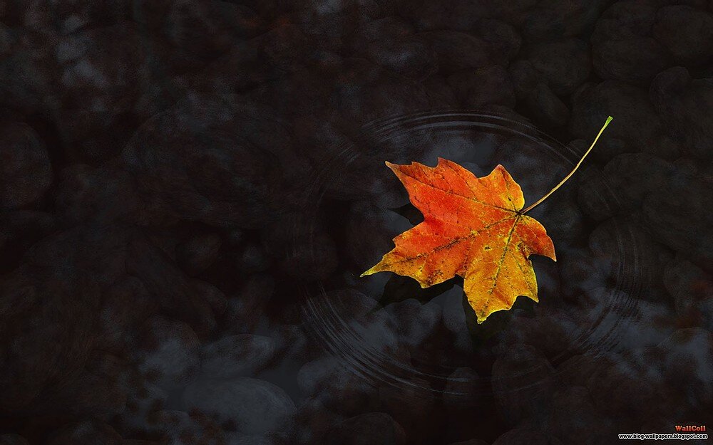 Community COVID Grief Support Group (Virtual Online)
