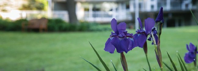 Honoring the Legacy of Seasons Hospice House: Open House for Founders, Supports, and Our Community