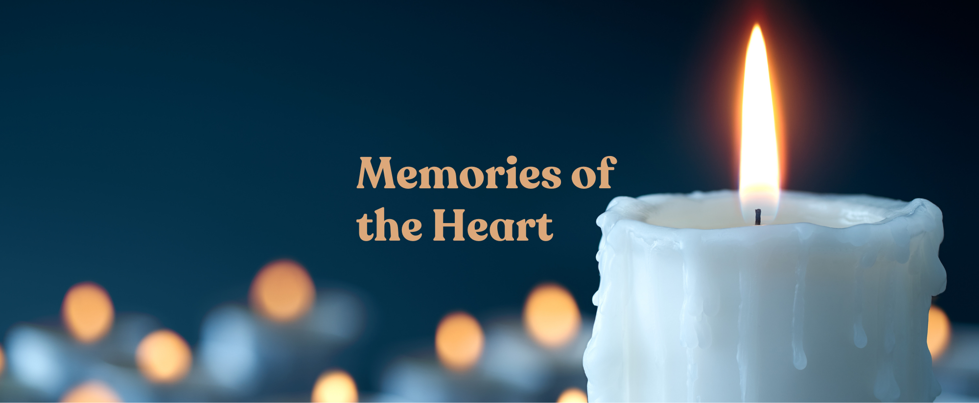 MOH Website Banner 2026.png