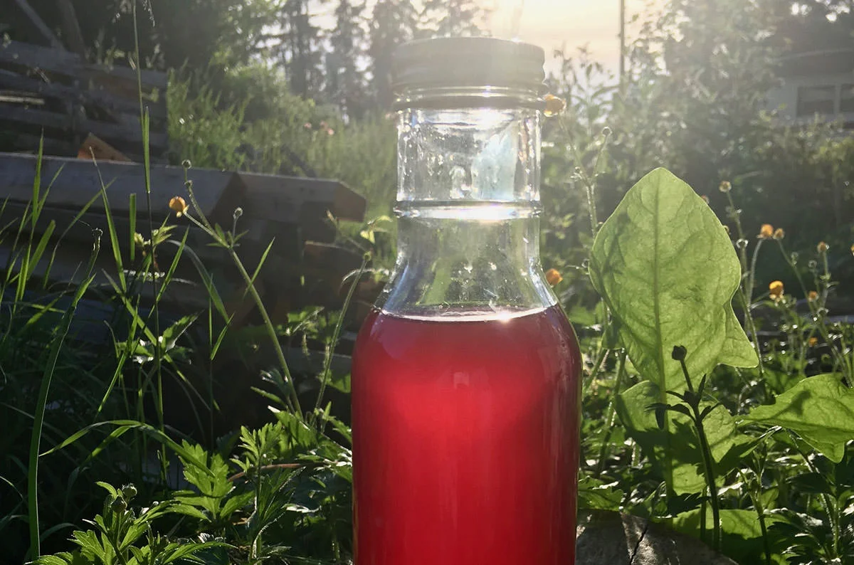 bottle-of-homemade-red-purple-chive-vinegar.jpg