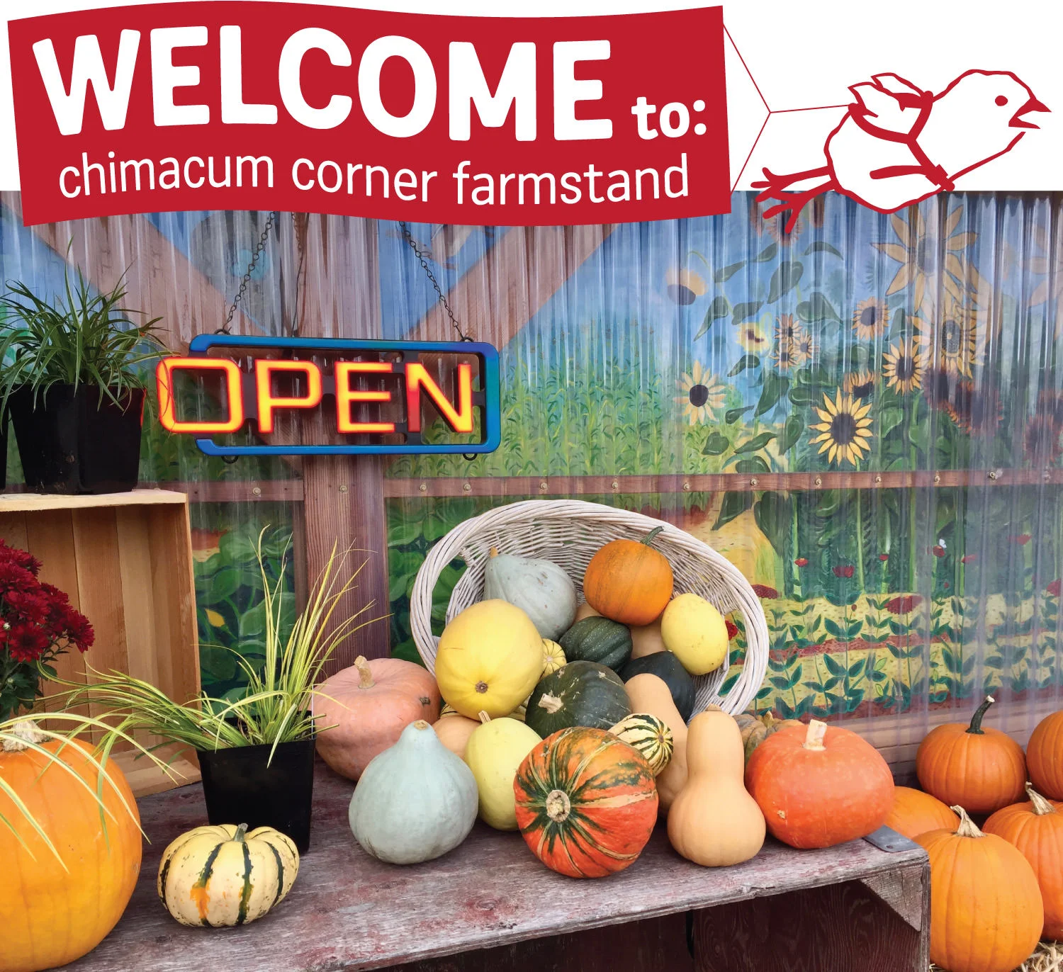 squash-and-open-sign-at-chimacum-corner-farmstand.jpg