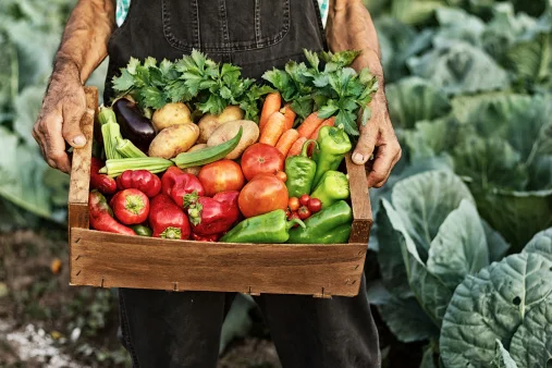 organicos.jpg