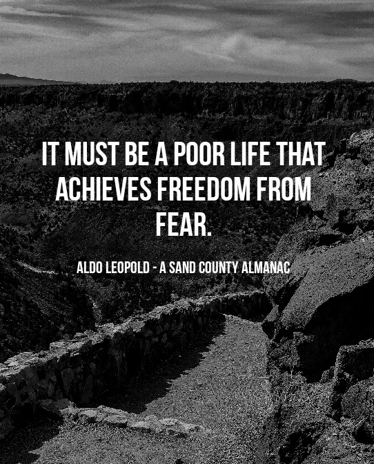 PictureQuotes1546807551-01.jpeg