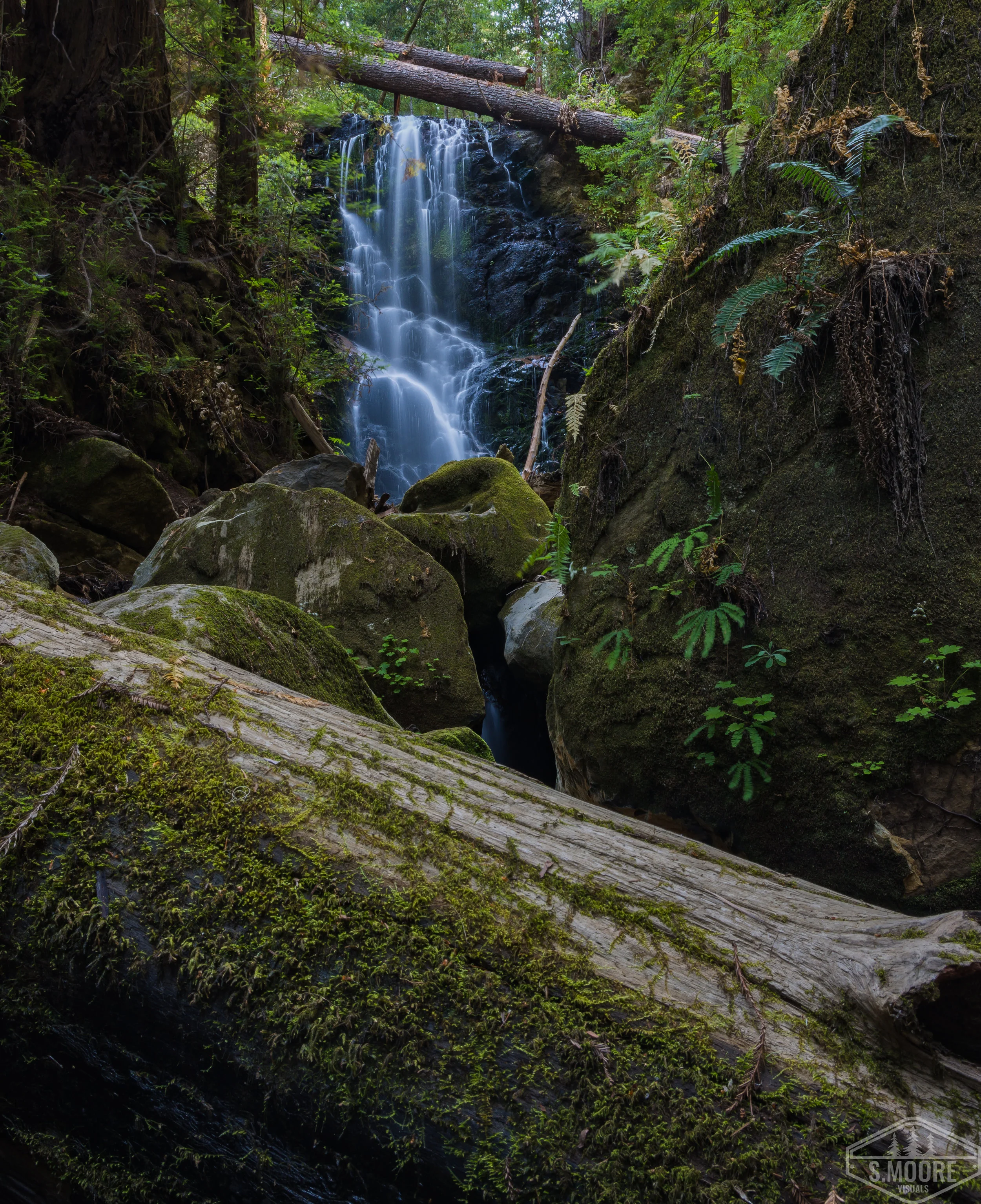 Berry Creek Falls