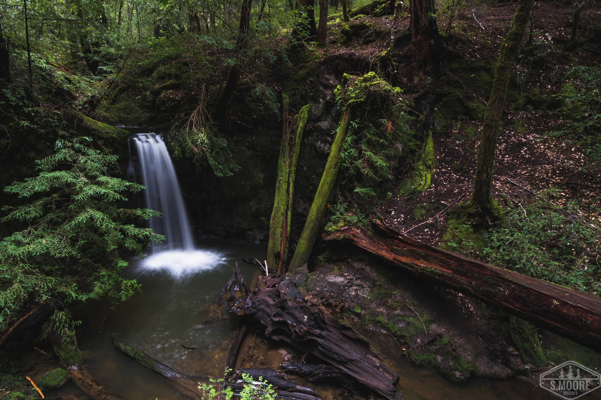 Sempervirens Falls 2