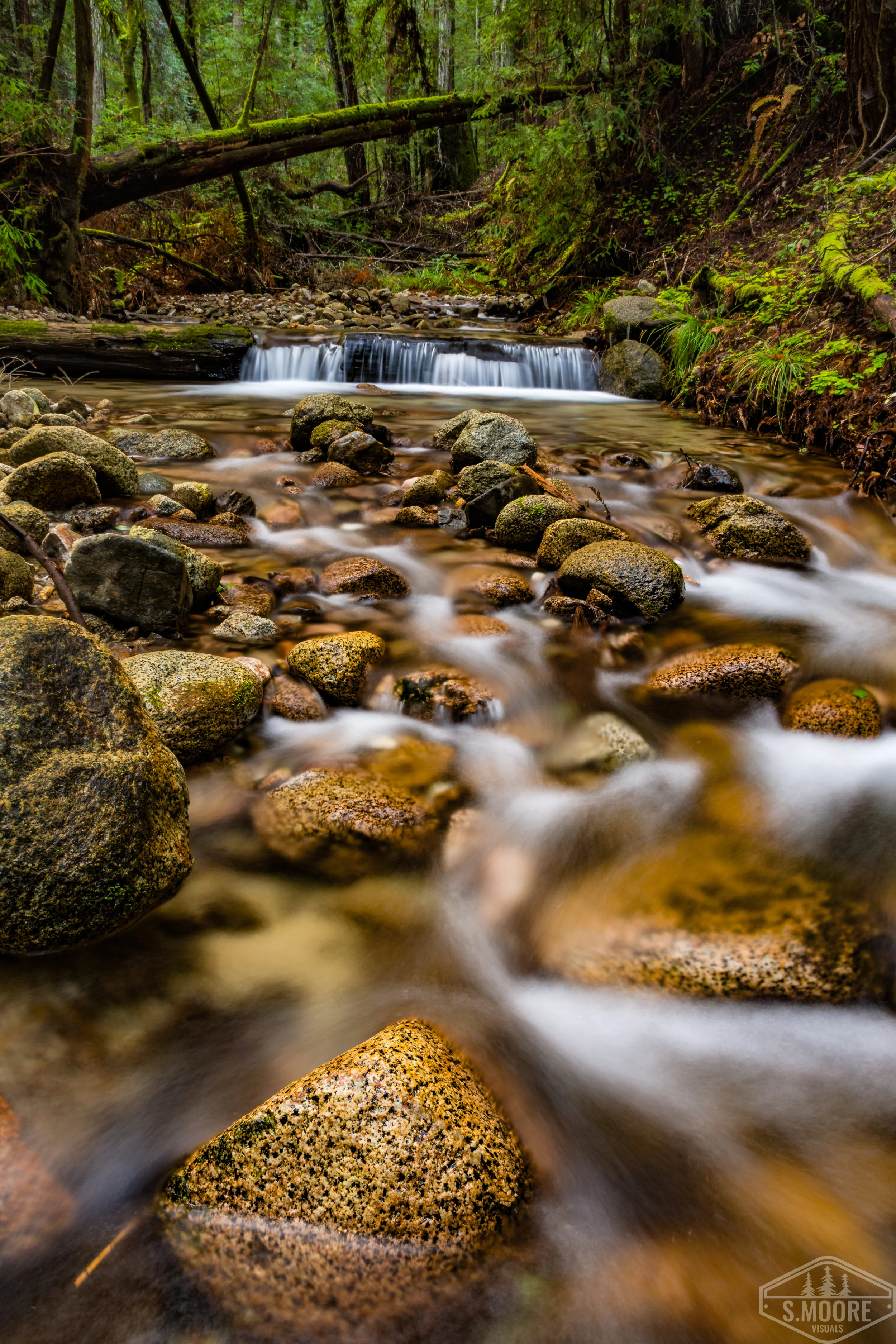 DSC_5192-2.jpg
