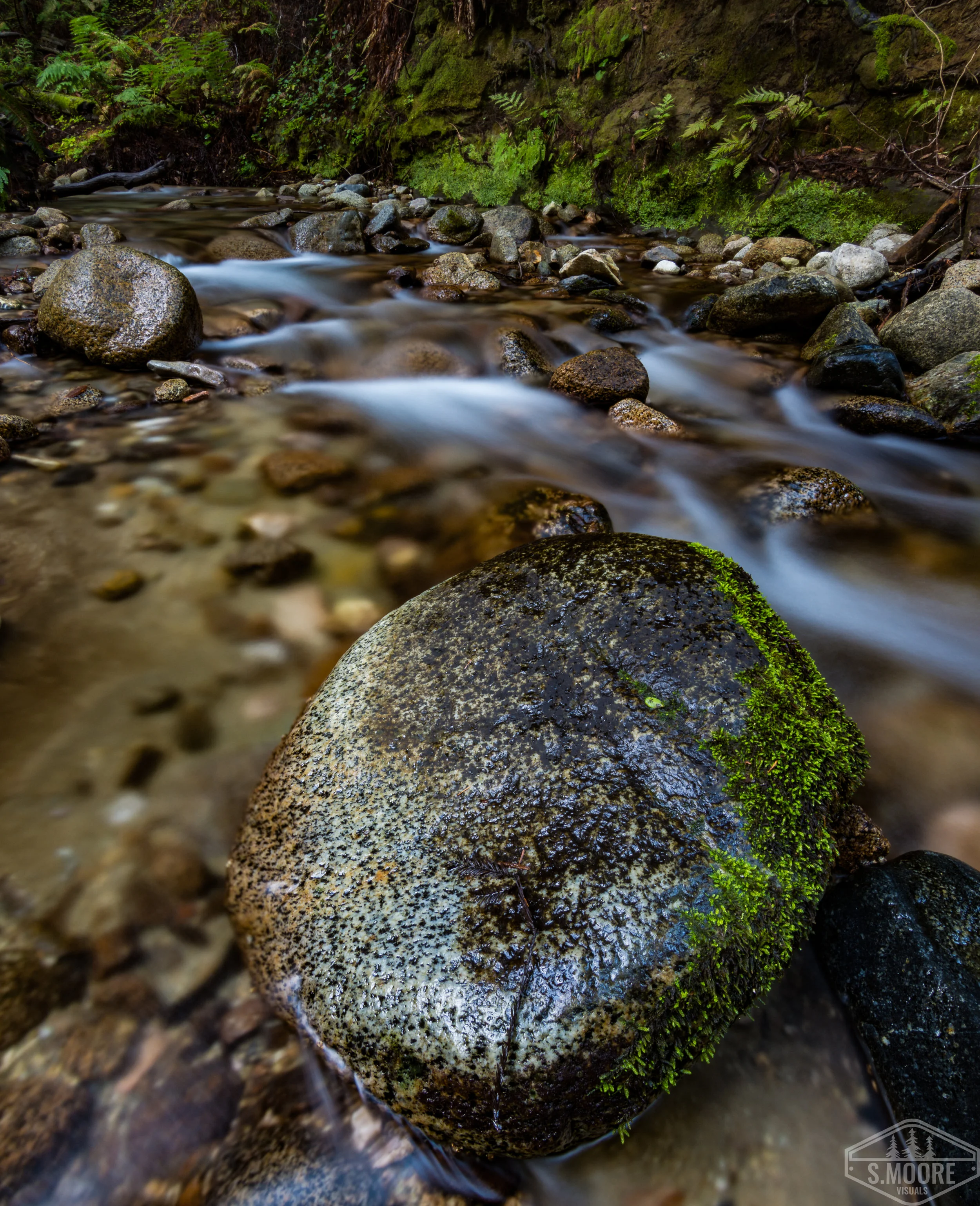 DSC_5168.jpg