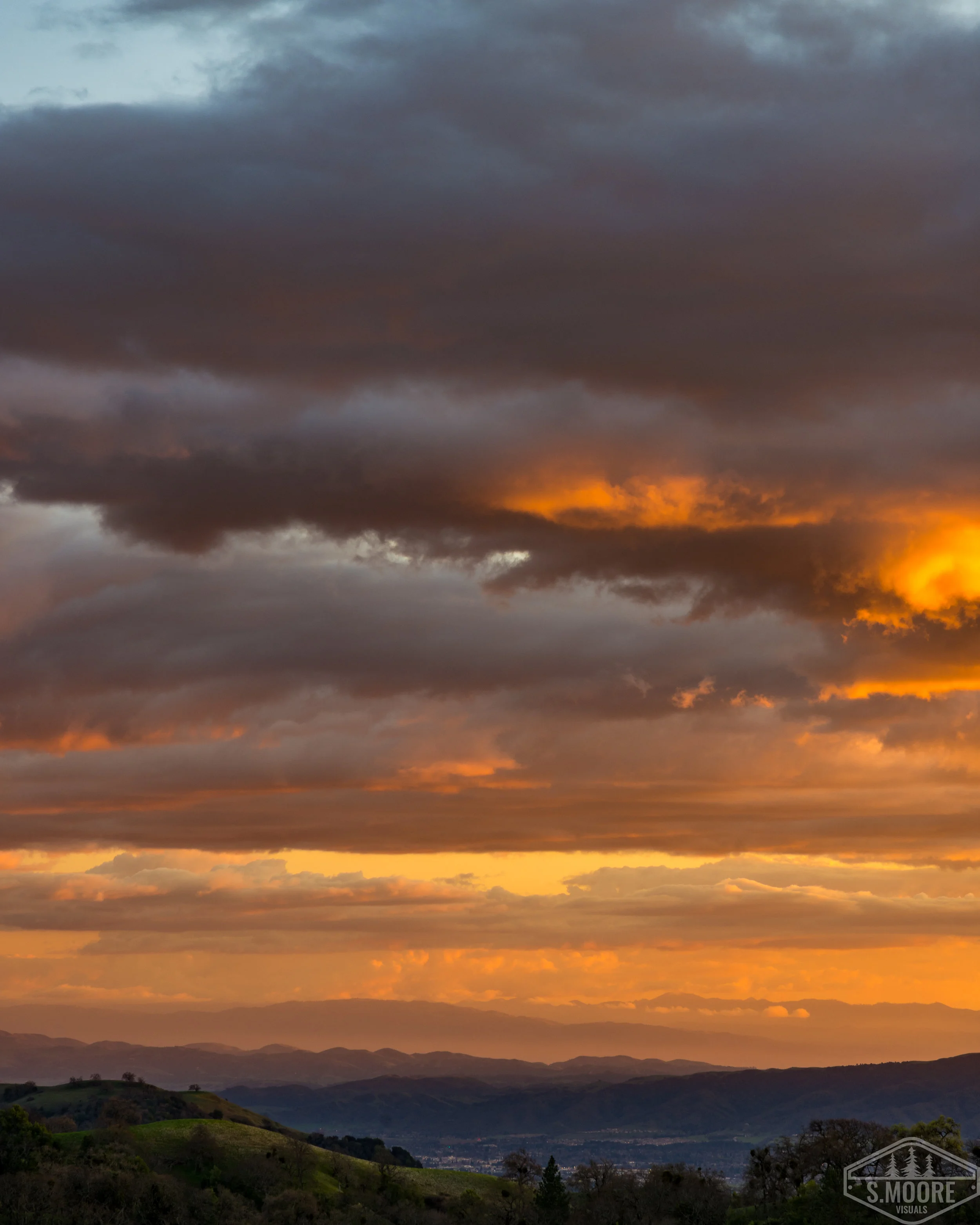DSC_6119.jpg