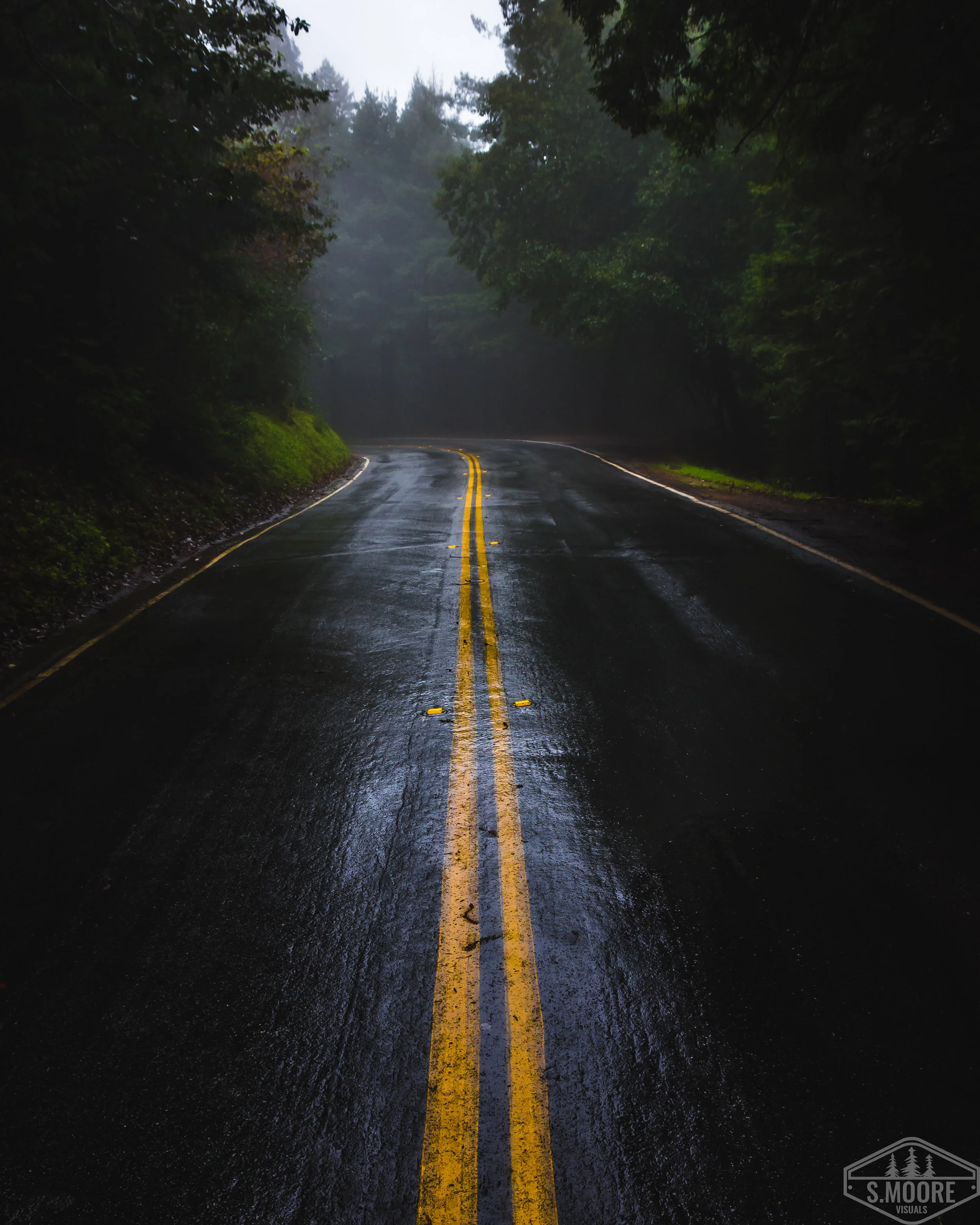 Wet Road